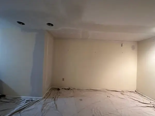 Termite Damage Repair in Lexington